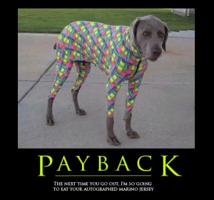 payback