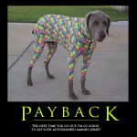payback