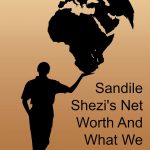 Sandile Shezi’s Net Worth And What We Learn From I