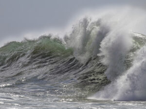Growth Investor Tsunami